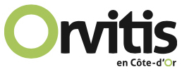 Orvitis